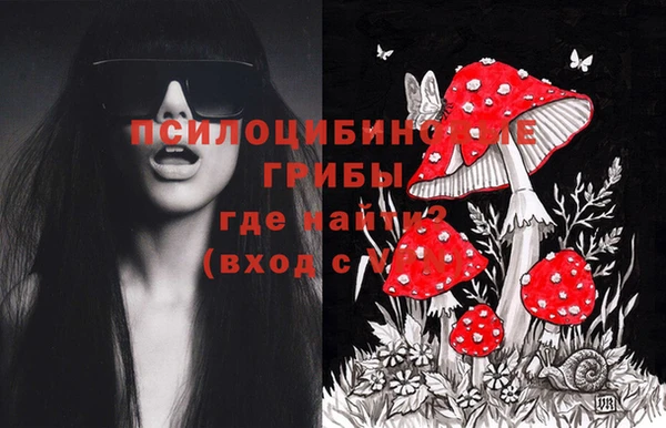 mix Алексин