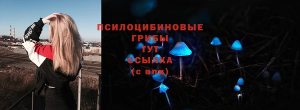 круглые Алексеевка