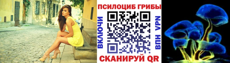 Галлюциногенные грибы Magic Shrooms  Подольск 