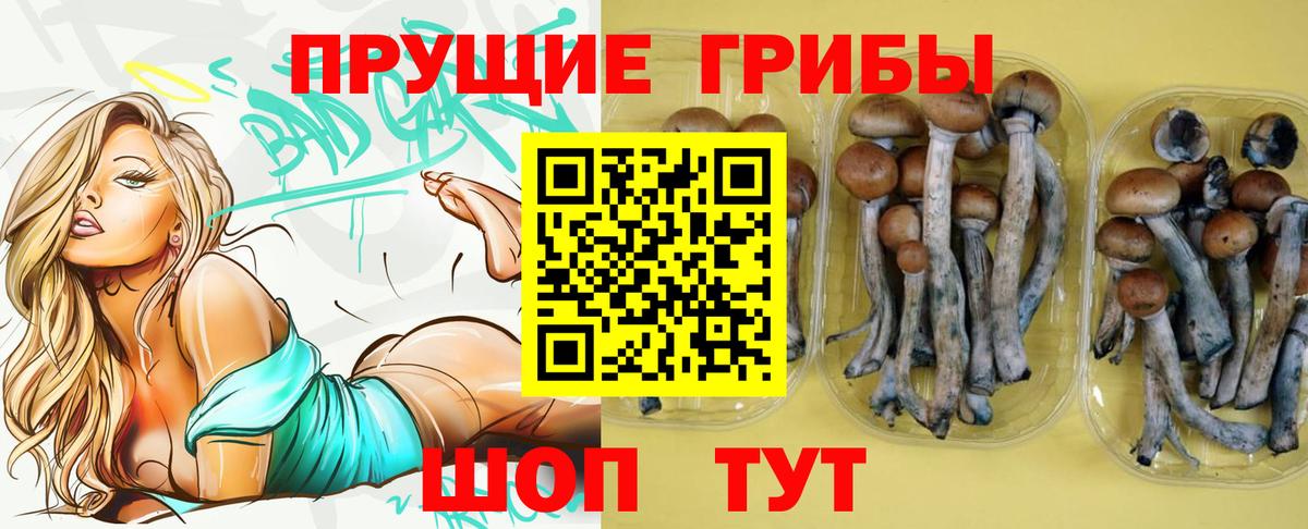 купить закладку  Галлюциногенные грибы ЛСД  Вход с VPN  Подольск  Псилоцибиновые грибы MAGIC MUSHROOMS 